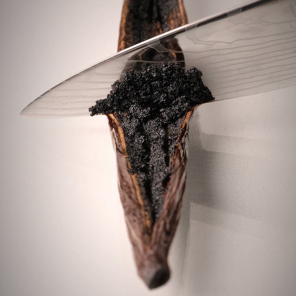 Gourmet Vanilla Bean Pods A Grade