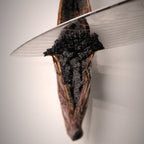 Gourmet Vanilla Bean Pods A Grade