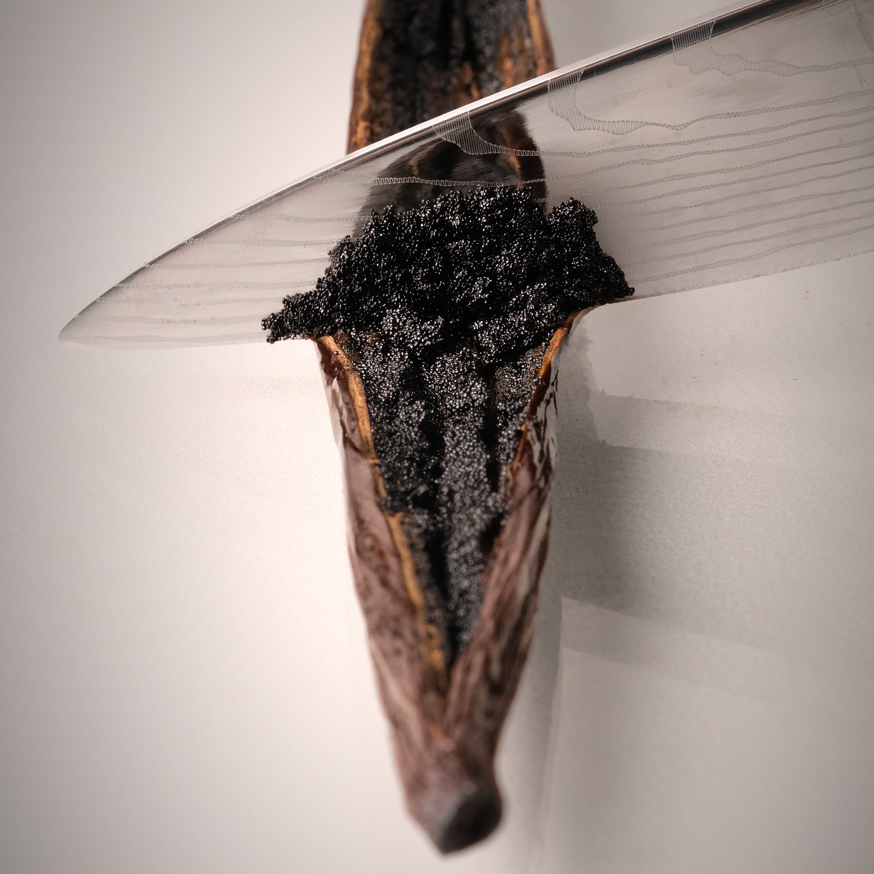 Gourmet Vanilla Bean Pods A Grade
