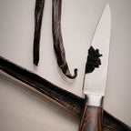 Gourmet Vanilla Bean Pods C Grade
