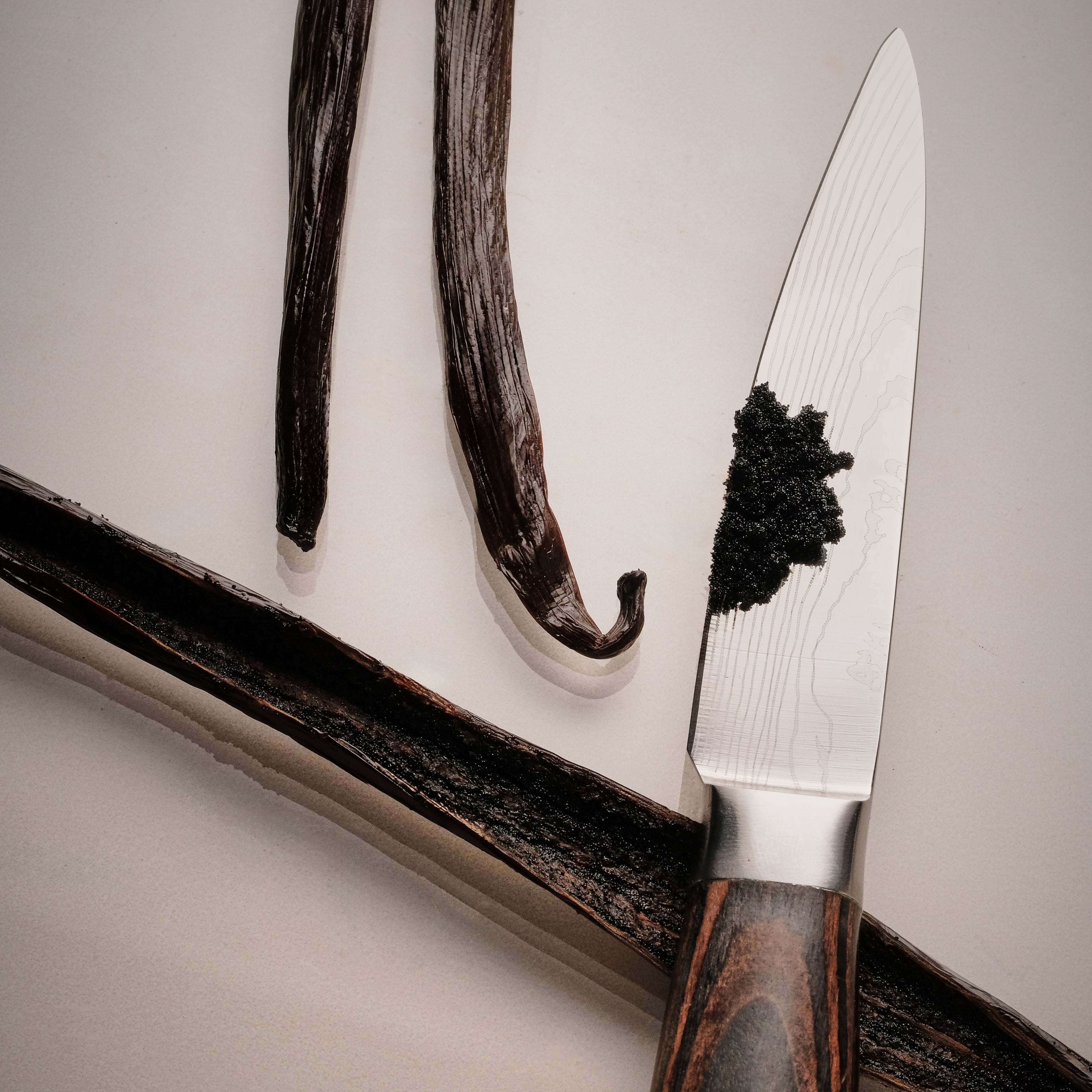 Gourmet Vanilla Bean Pods C Grade