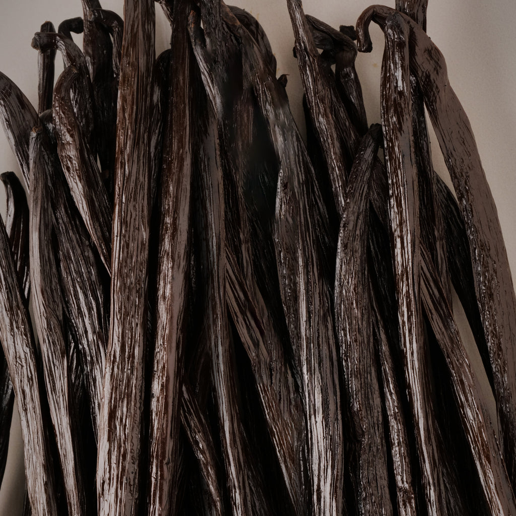 Gourmet Vanilla Bean Pods Superior Grade