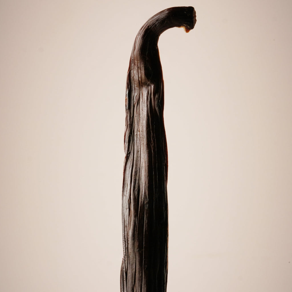 Gourmet Vanilla Bean Pods Superior Grade