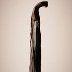 Gourmet Vanilla Bean Pods Superior Grade