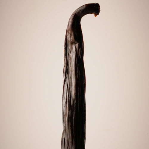 Gourmet Vanilla Bean Pods Superior Grade