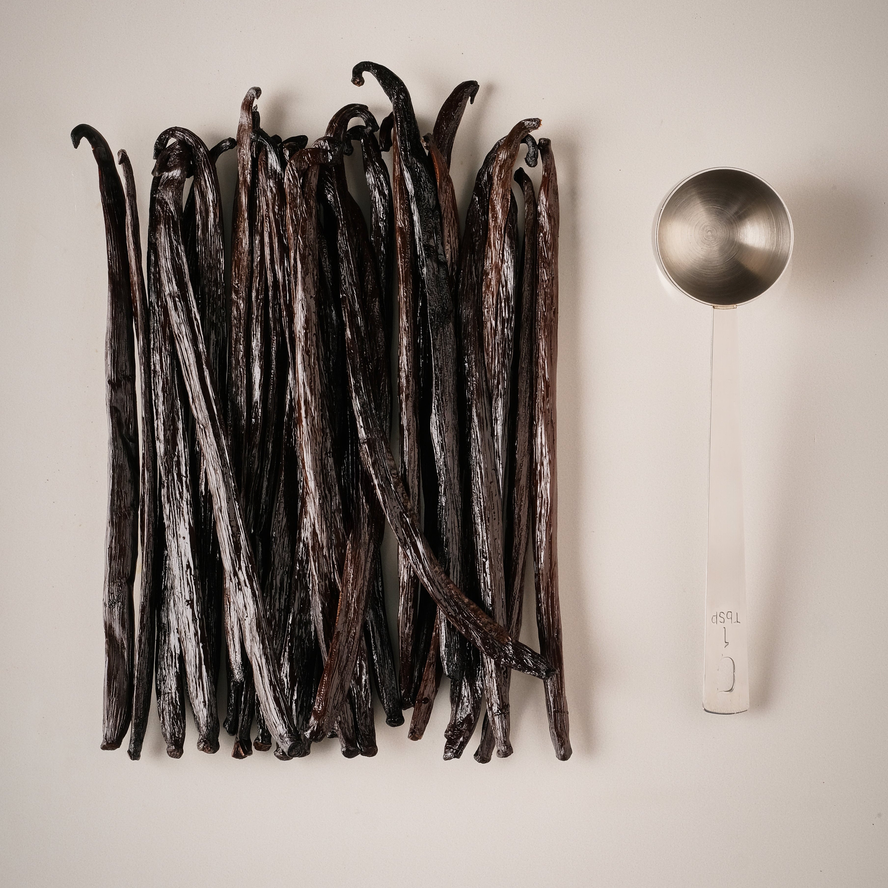 Gourmet Vanilla Bean Pods B Grade