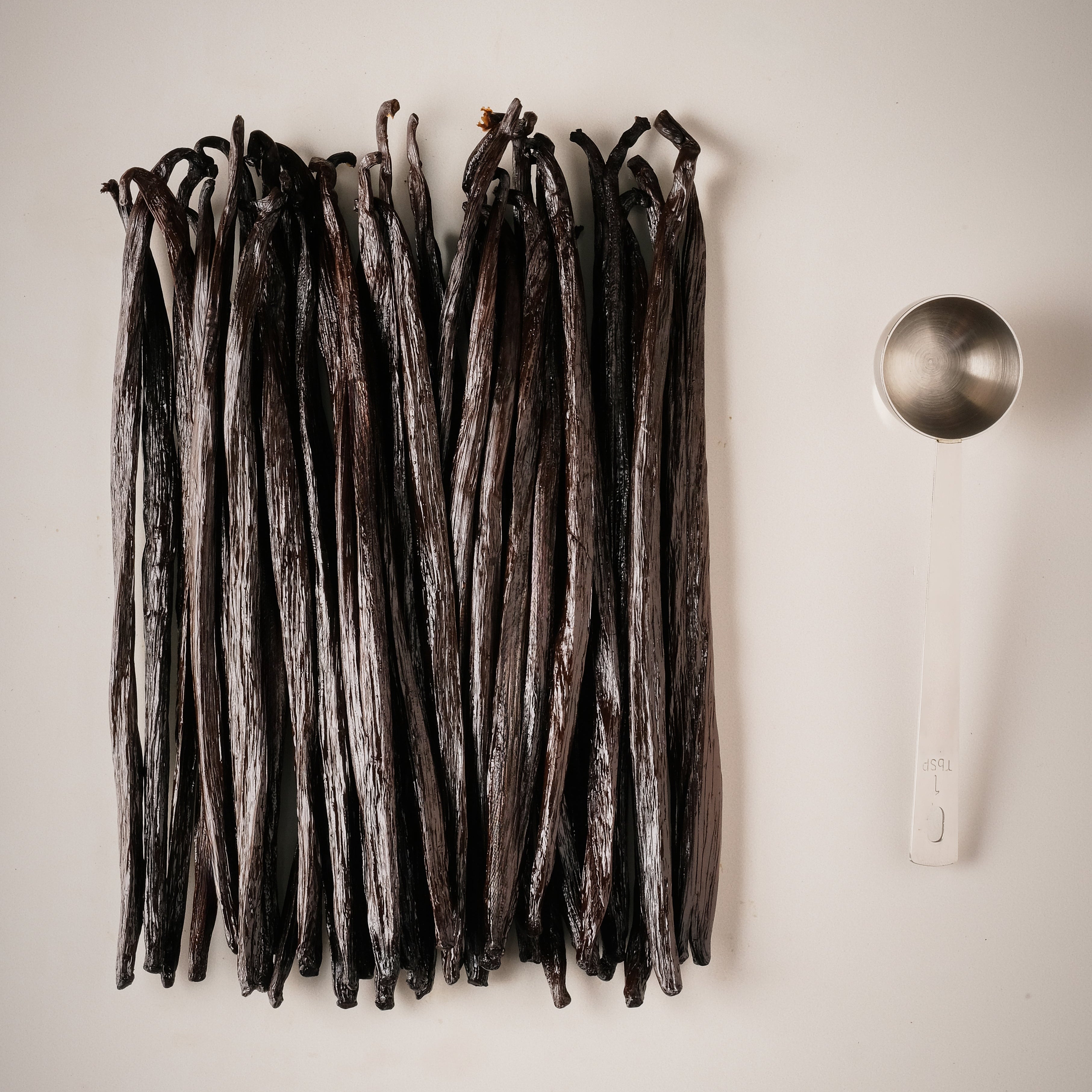 Gourmet Vanilla Bean Pods Superior Grade